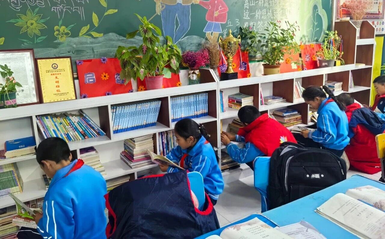 1764055135883099.jpg 1764055135883099.jpg